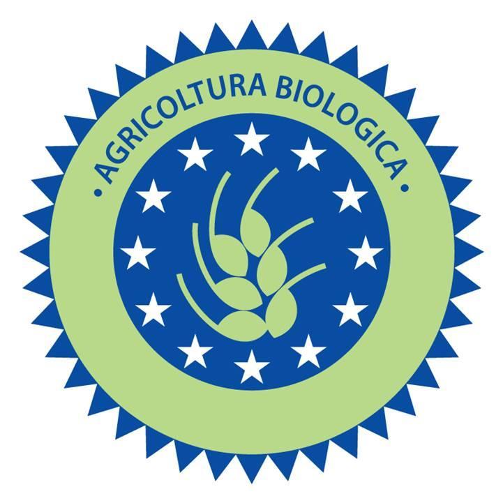 הוילה מנצ'יאנו Fattoria Poggio Foco מראה חיצוני תמונה