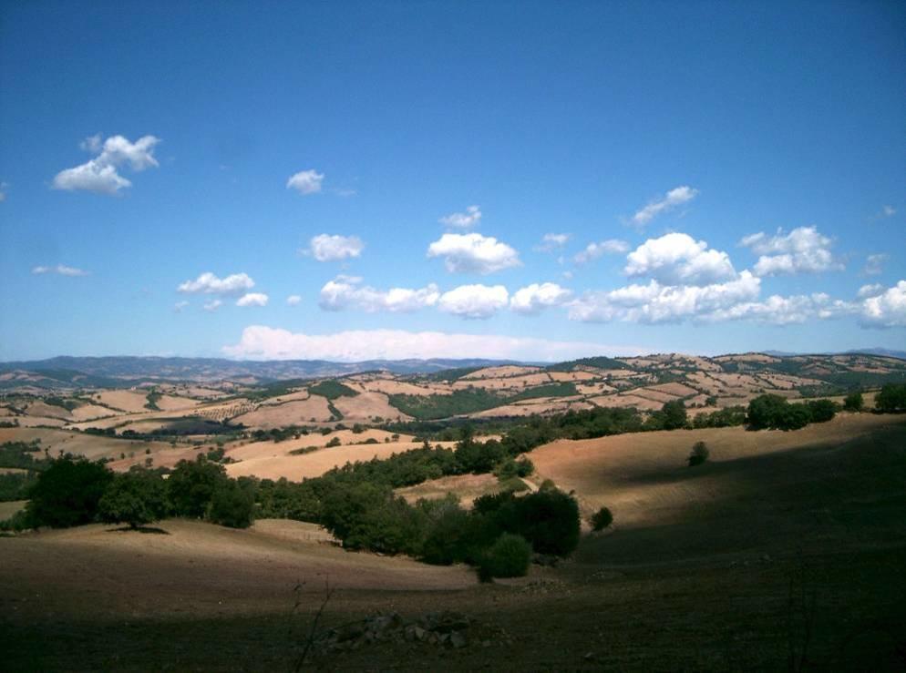 הוילה מנצ'יאנו Fattoria Poggio Foco מראה חיצוני תמונה