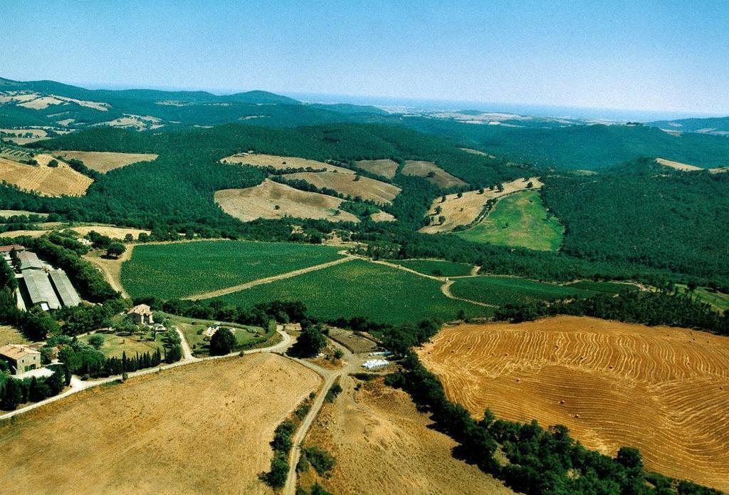 הוילה מנצ'יאנו Fattoria Poggio Foco מראה חיצוני תמונה