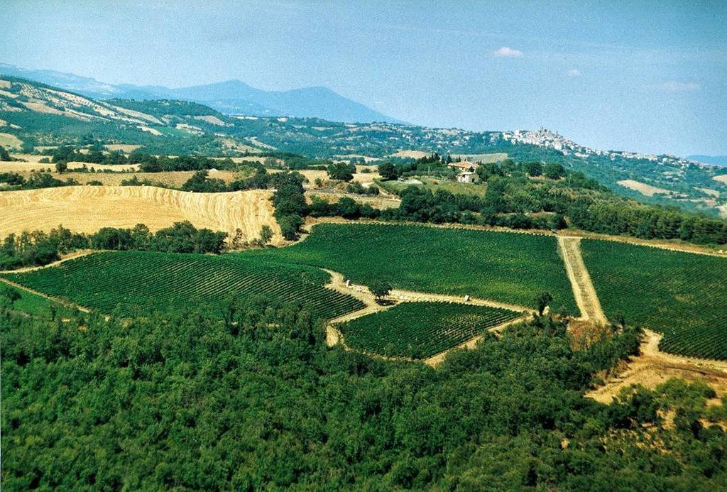 הוילה מנצ'יאנו Fattoria Poggio Foco מראה חיצוני תמונה