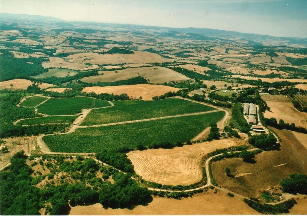 הוילה מנצ'יאנו Fattoria Poggio Foco מראה חיצוני תמונה